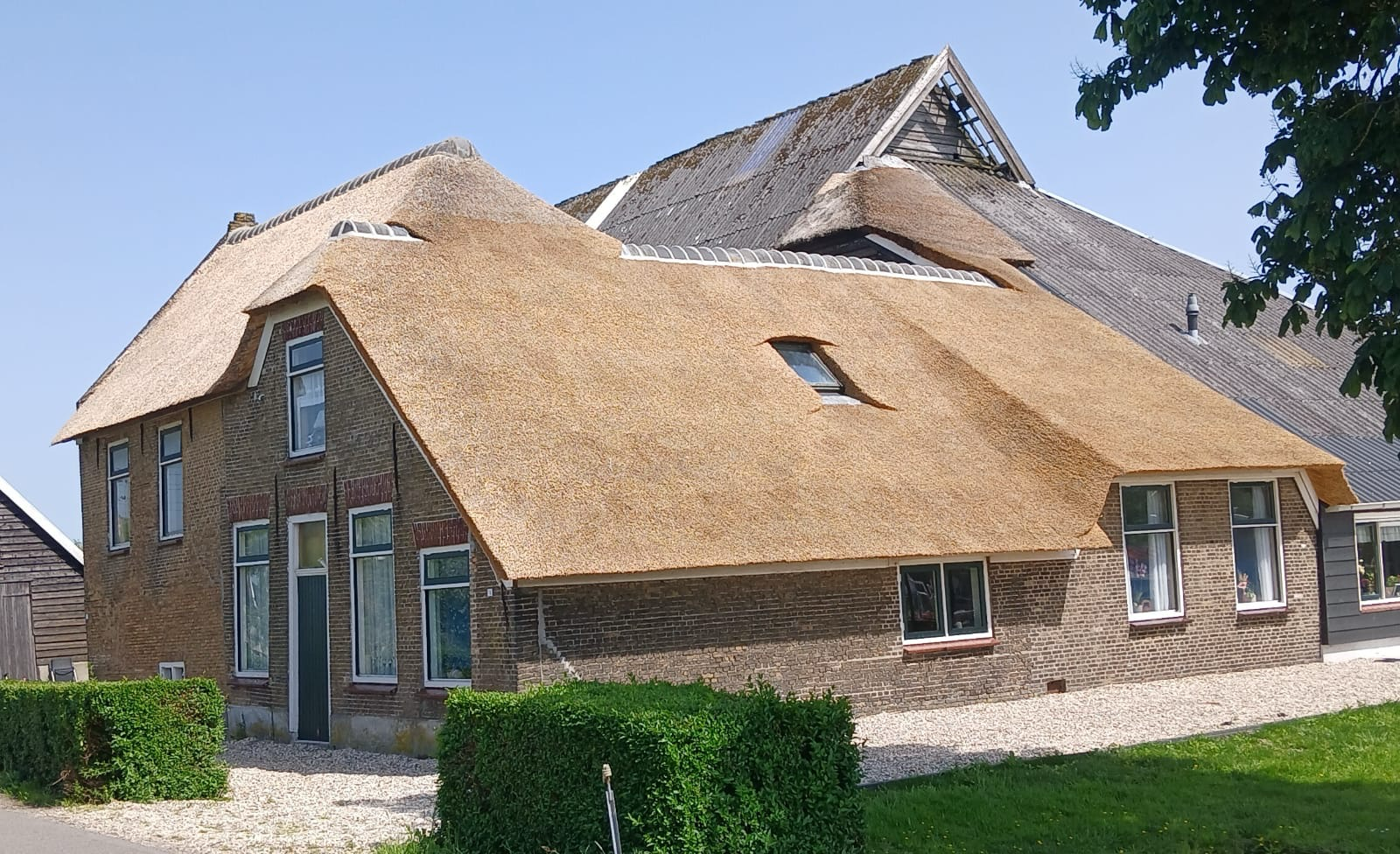 Boerderij met volledig nieuw riet