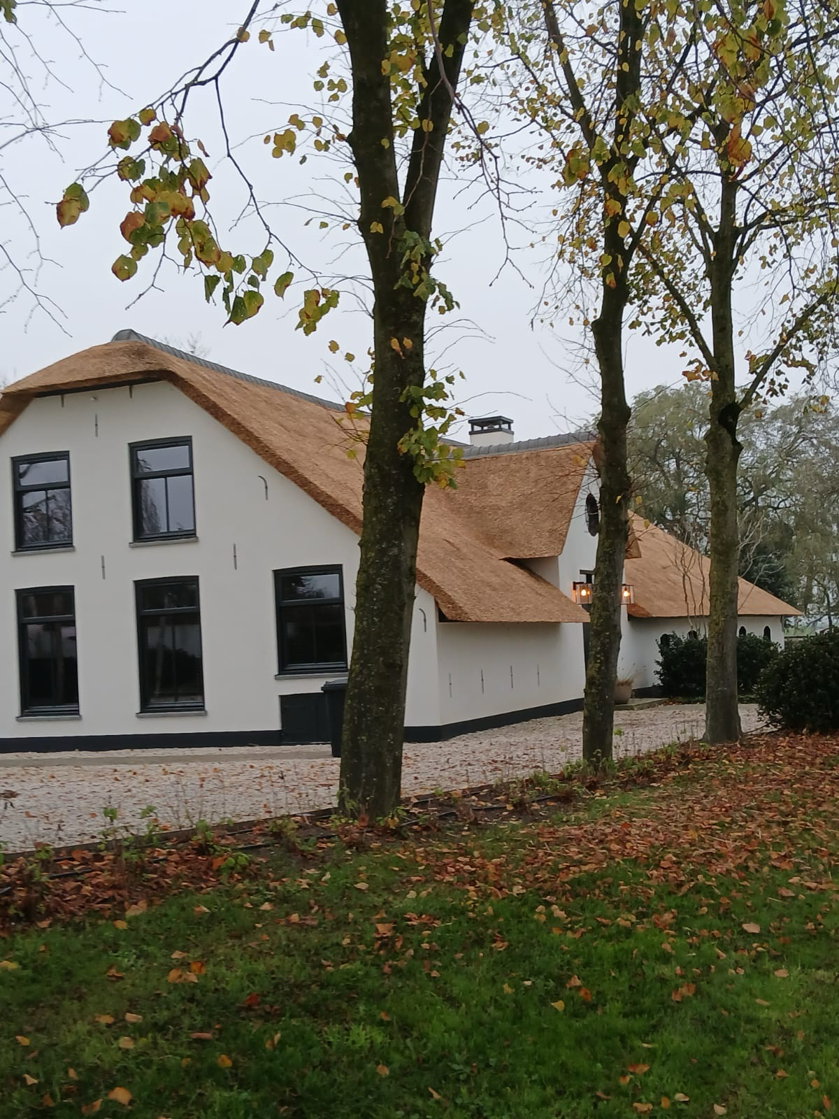 Woonboerderij tussen de bomen