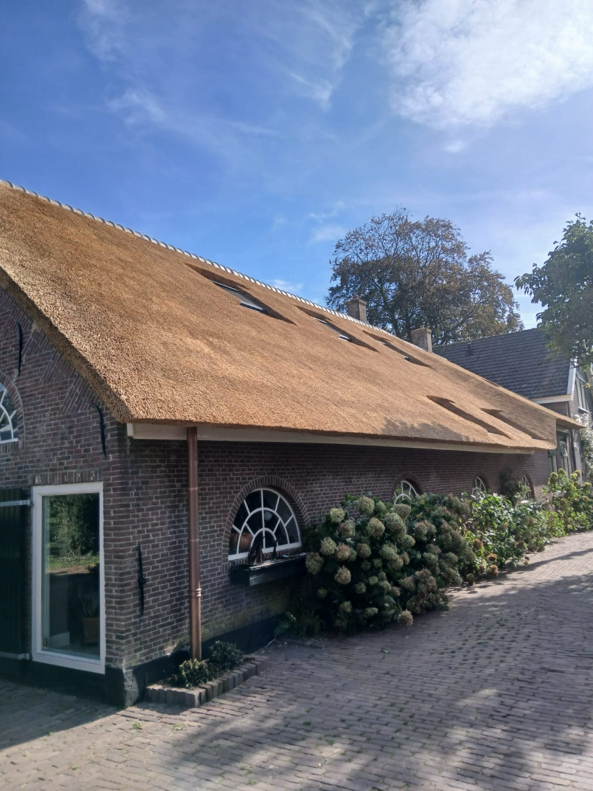 Boerderij met boogvensters