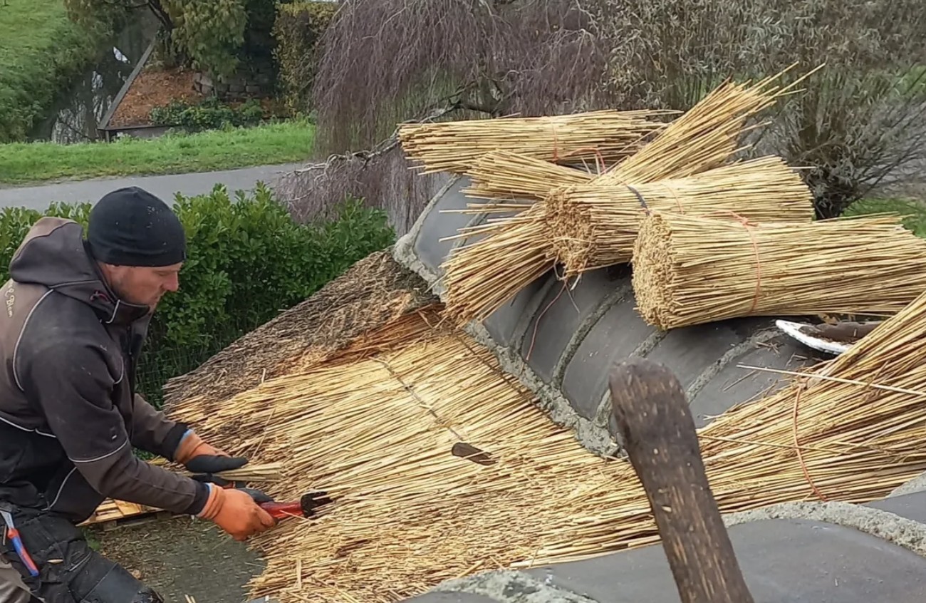 Rietdekker werkt de nok af van een nieuw rieten dak